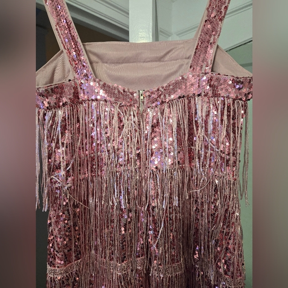 DONATING BY FRIDAY IF NOT SOLD: Sparkly Sequin Tassle Dress - Picture 4 of 6